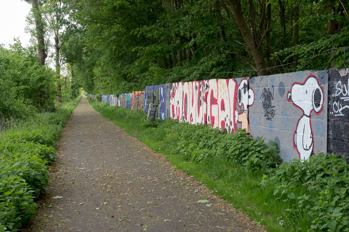 Lost Places Dortmund Hoesch Walzwerk dosenkunst.de